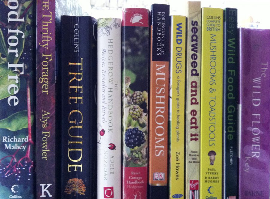 Forage London Foraging Wild Food Recommended Reading