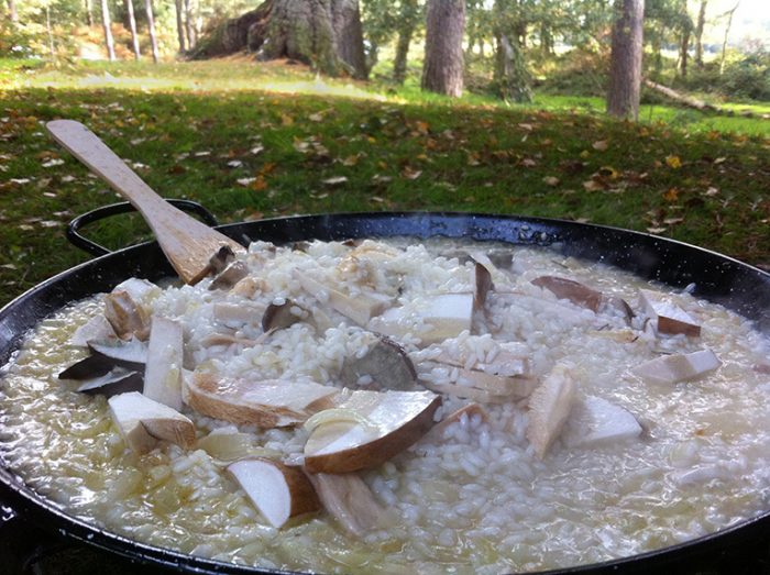 wild cooking foraged risotto