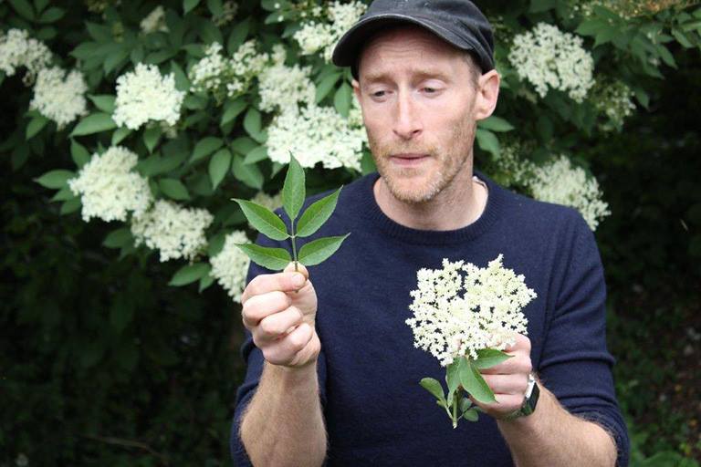 John Rensten forage London talk Clissold Park