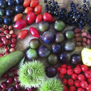 Forage London foraged mixed fruit