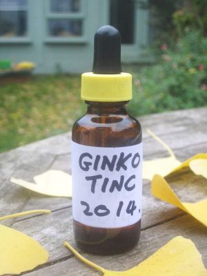 Forage London ginko tincture
