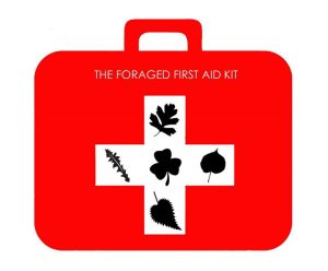 Foraged first aid kit safety first