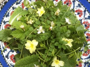 Plate of foraged Spring salad