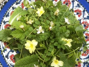 Plate of foraged Spring salad