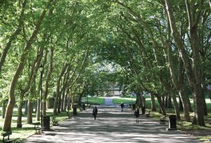 Crystal Palace park