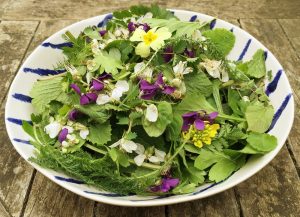 Springtime mixed wild salad
