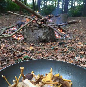 cooking foraged wild mushrooms outdoors over fire