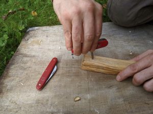 foraging and knife skills whittling