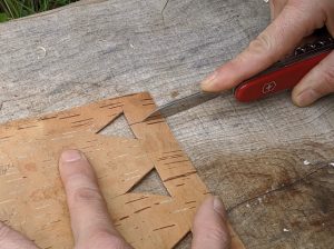 foraging and knife skills cutting bark