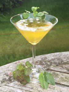 John Rensten's Moondog Martini made with hogweed seeds