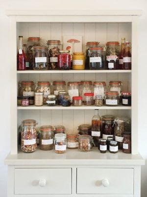 uk native wild spices