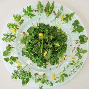 A plate of foraged spring salad leaves collected on a Forage London wild food walk