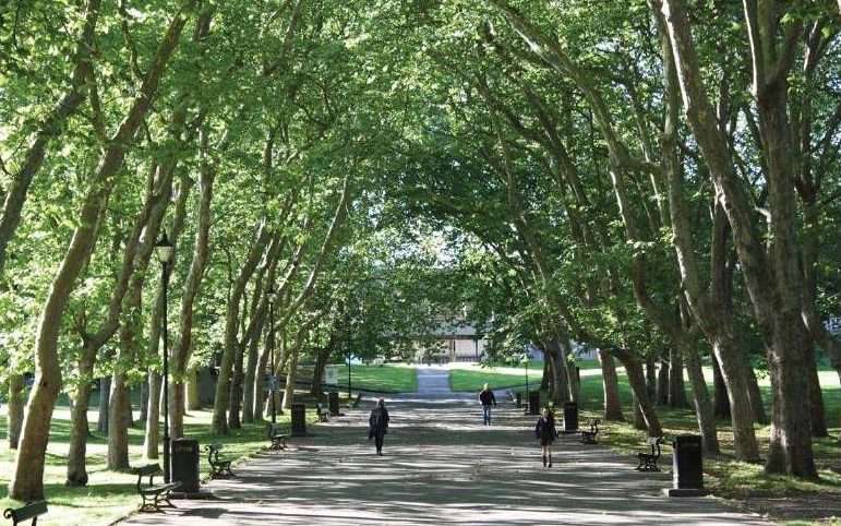 Crystal Palace park