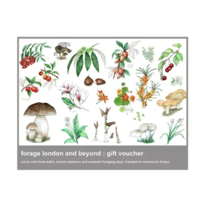 Forage London Gift Voucher