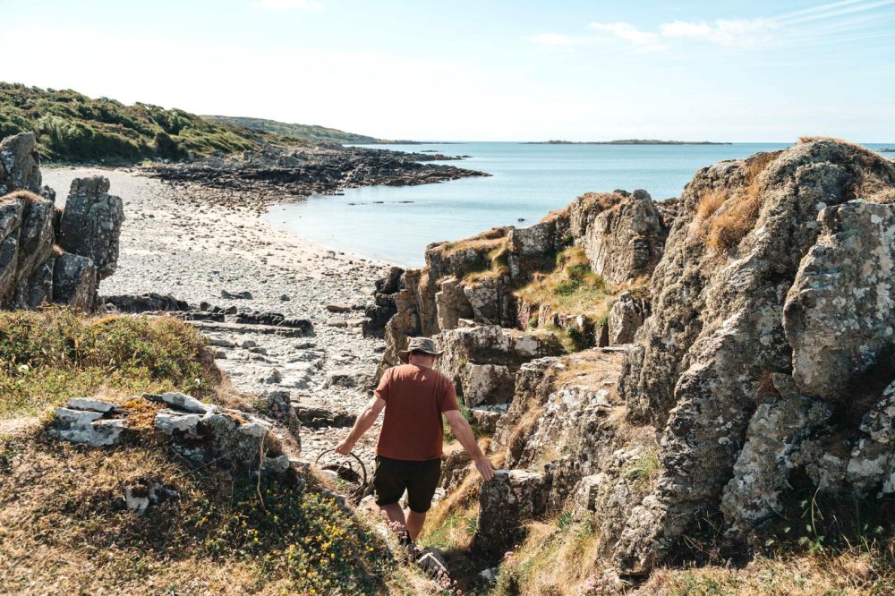 The Coastal Forager photo