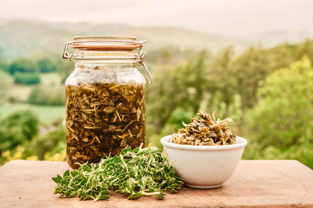 The Coastal Forager photo