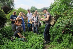 Foraging education in North London park