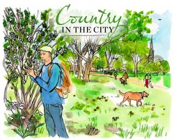 Forage London Country Living Country in the City