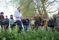 plant identification with Jason Irving