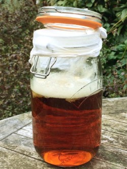 attempt to make beer vinegar - don't do this