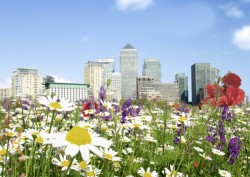 Meadow scene with London skyline