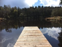 pontoon in the sun ready to jump in