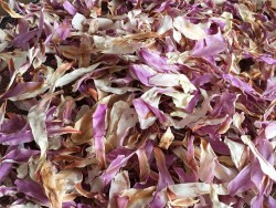 dried magnolia petals taste like ginger