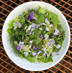 Early foraged summer salad - May