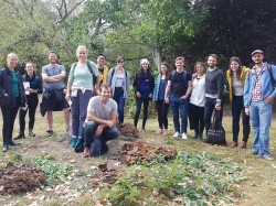 Corporate foraging event