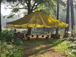 Foraging bushcraft courses - Autumn