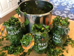 Wild garlic kimchi in Kilner jars